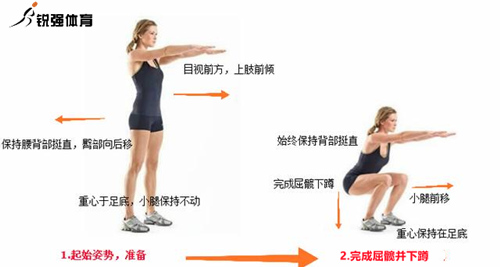 深蹲行动.jpg 深蹲行动.jpg